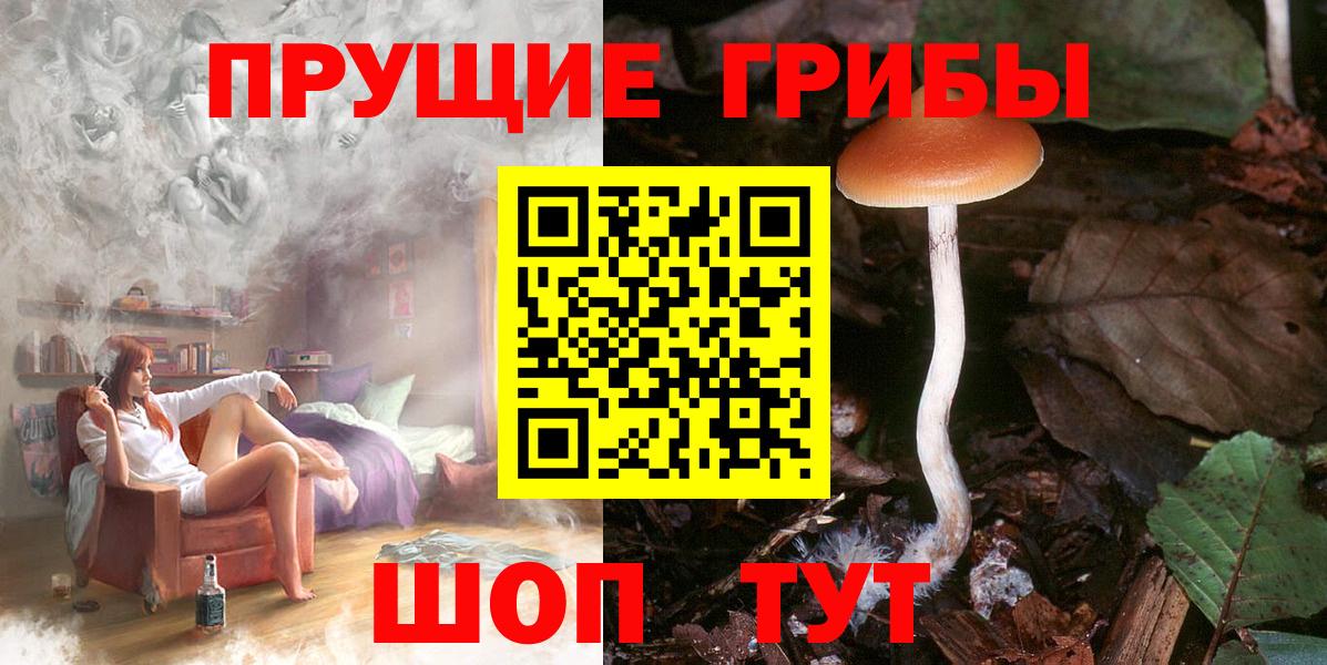 Псилоцибиновые грибы прущие грибы  Вход с VPN  Горячий Ключ  Псилоцибиновые грибы Psilocybe 