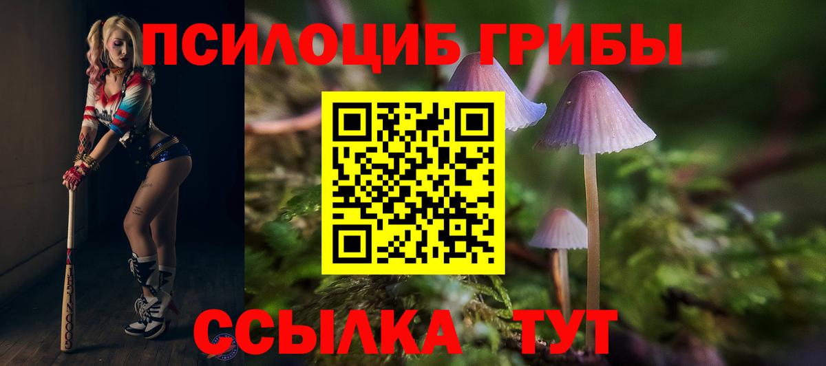 Псилоцибиновые грибы Psilocybine cubensis Горячий Ключ